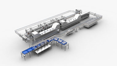 Poultry Killing, Defeathering and Auto Transfer