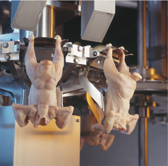 Weighing, Grading And Weigh Transfer