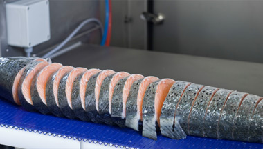 Intelligent Portioning