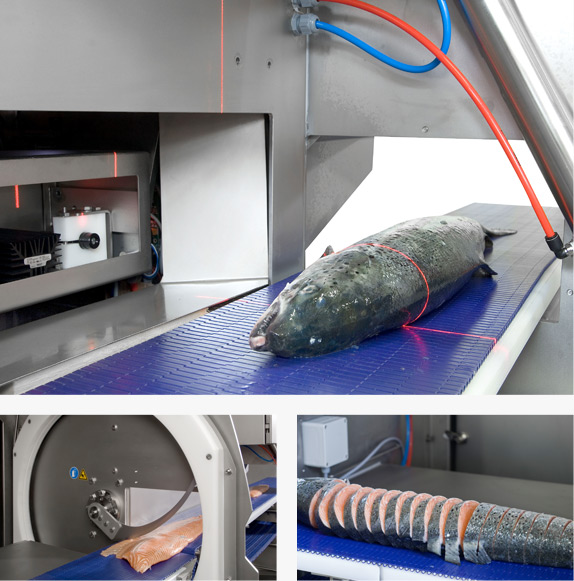 Intelligent Portioning of Fish