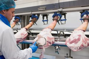 Pre-dryers, flaming furnaces, and washing machines minimize bacterial growth for a hygienic processing environment Pre-dryers, flaming furnaces, and washing machines minimize bacterial growth for a hygienic processing environment