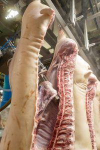 DFS offers innovative, modular meat processing solutions tailored specifically for red meat processing DFS offers innovative, modular meat processing solutions tailored specifically for red meat processing
