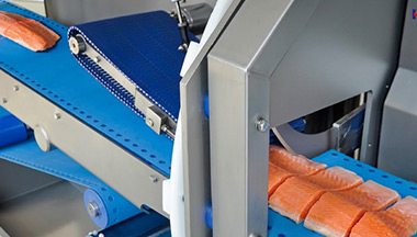Further Processing and Value Added Products