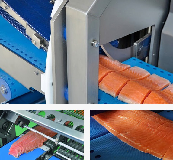 Intelligent Portioning of Fish