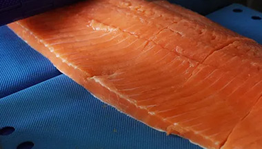 Intelligent Portioning